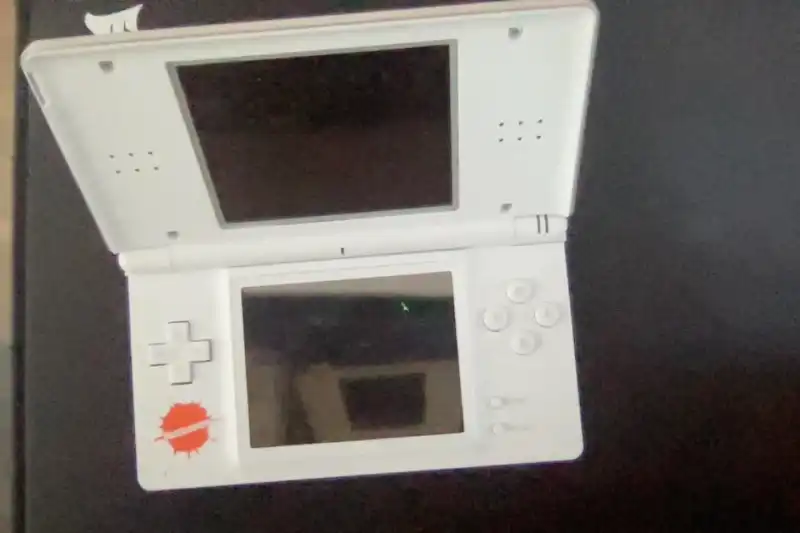  Nintendo DS Lite Nickelodeon Console